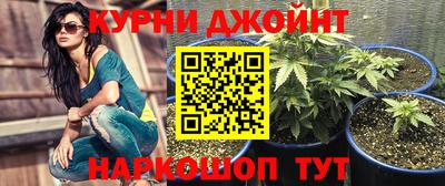 дурь Гусев