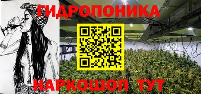 дурь Гусев