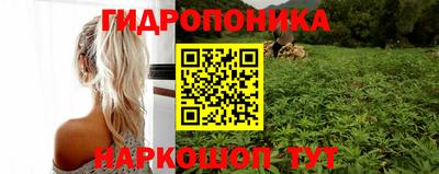 дурь Гусев