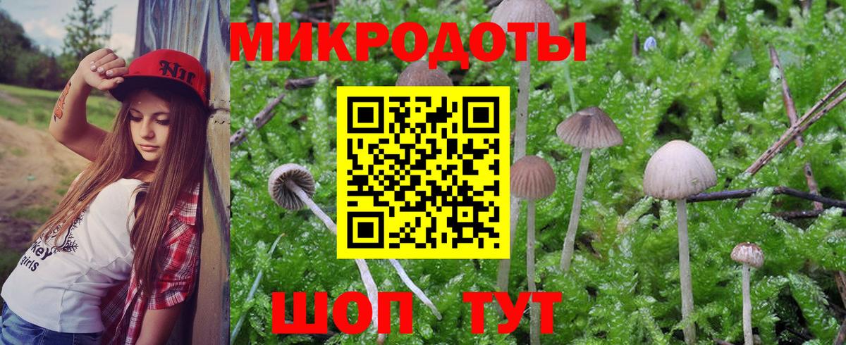 купить наркоту  Галлюциногенные грибы MAGIC MUSHROOMS  Вход с VPN  Нарткала  Псилоцибиновые грибы Cubensis 