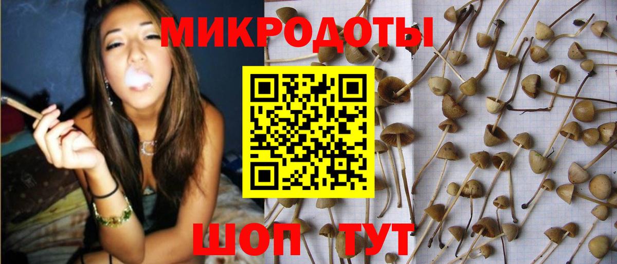Псилоцибиновые грибы Magic Shrooms Нарткала
